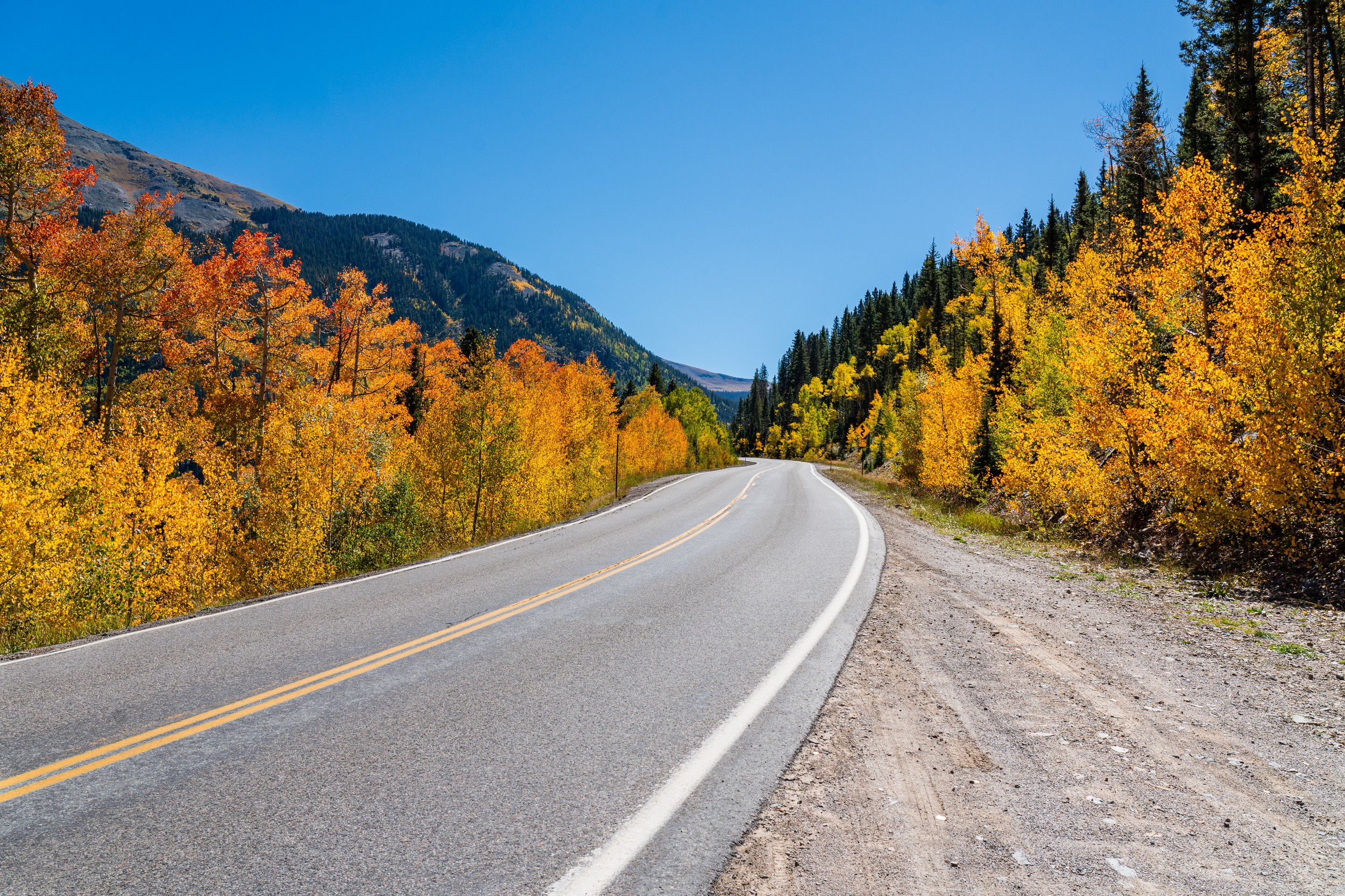 USA 2024 5 Sterne 28